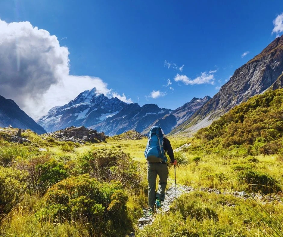 MT KENYA