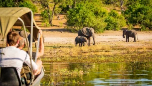 5 DAYS MASAI MARA SAFARI
