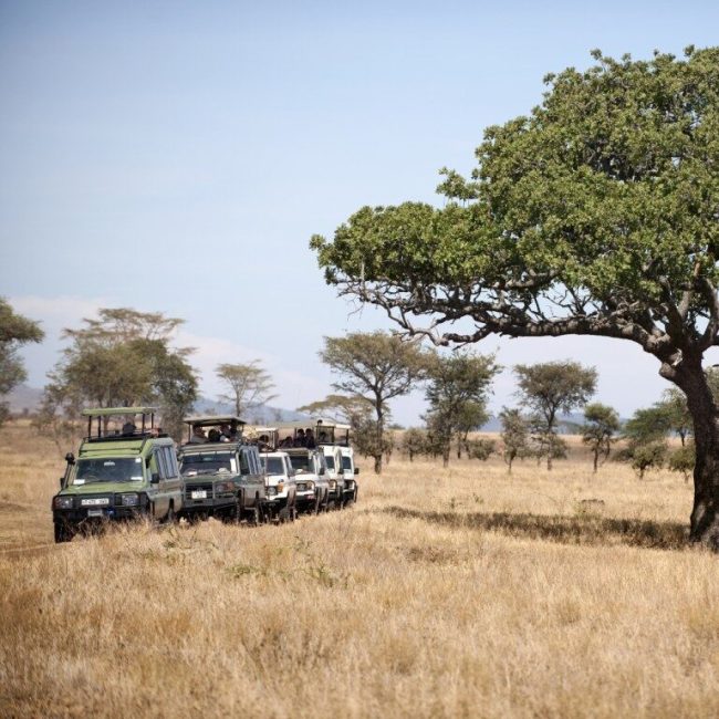 tanzania-768×768 tanzania-768x768